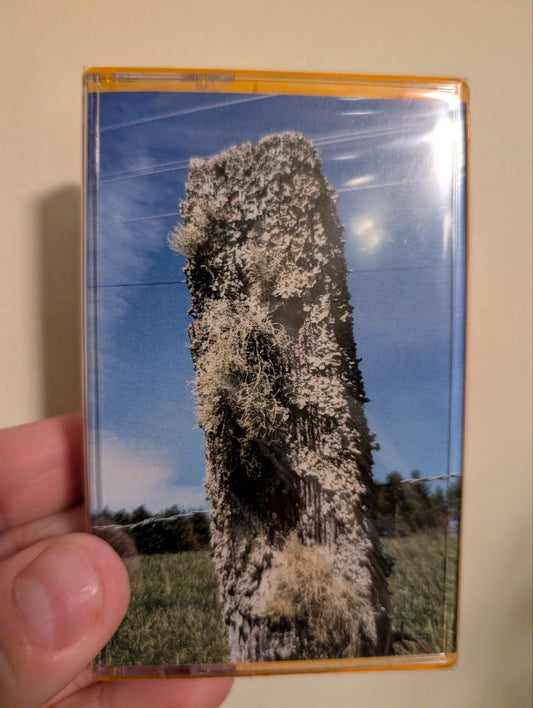 Mountains to Sea Vol. 1